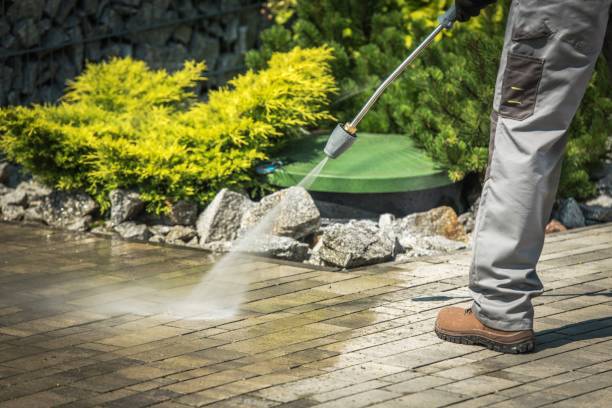 Best Dumpster Area Cleaning  in Poplar Bluff, MO
